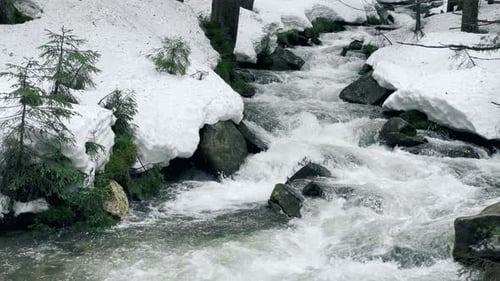 Cold River Water With Rapids In Winter Forest. Fast Stream Flowing On Stony Background In Frozen ...