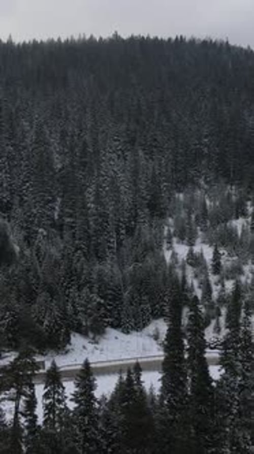 Winterwald mit Straße