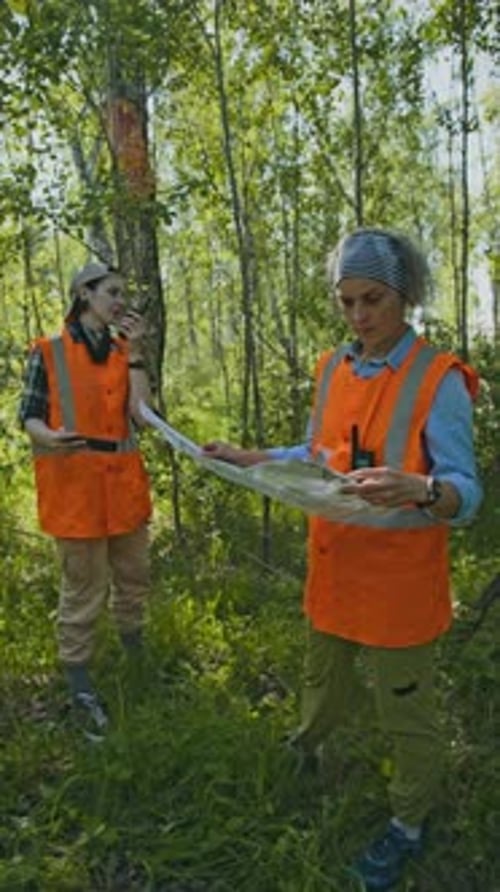 Adults Surveying Forest with Map and Walkie-Talkie
