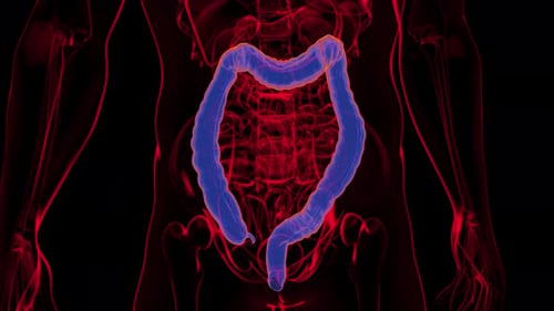 4K abstract animation of the colon cancer