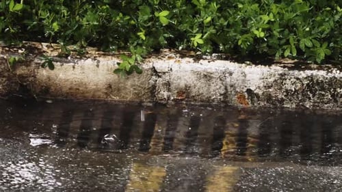 City drain, overburdened by downpour, struggles to cope with flooding