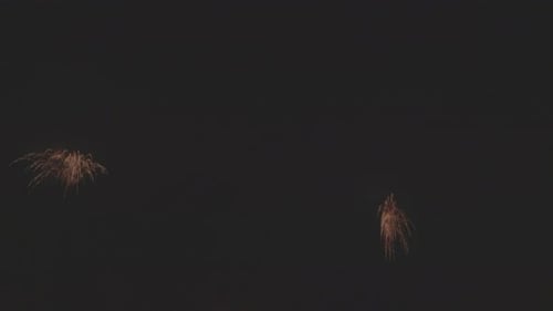Exploding Fireworks in the Night Sky