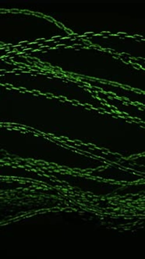 Abstract background with tangled chains
