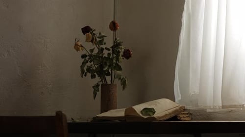 A look into an abandoned study room