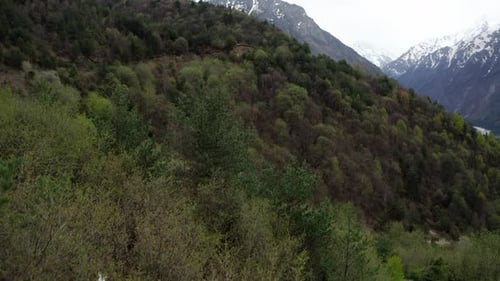 Scenic Mountain Slope Covered with Mixed Forest Overlooking River Valley