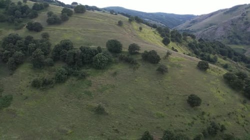 Green Mountains and Sparse Trees