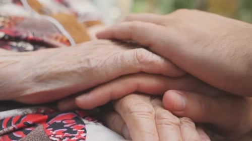 Close Up of Young Male and Wrinkled Hands Comforting and Stroking Each Other Outdoor Grandson and