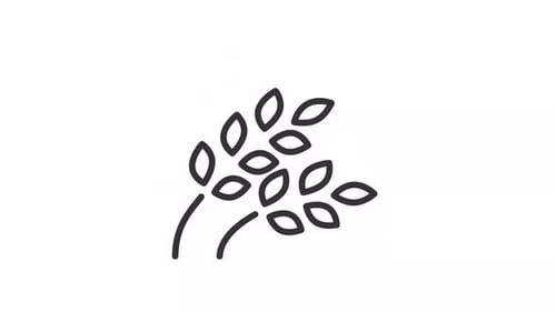 Swaying Wheat Stalks Line Art Animation