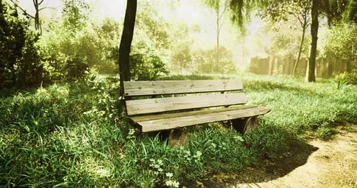 Wooden Bench in Peaceful Green Park Illuminated By Morning Sunlight