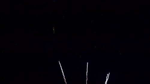 Vibrant Fireworks Explode in the Night Sky