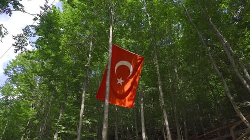 National Flag Hanging in the Lush Green Forest