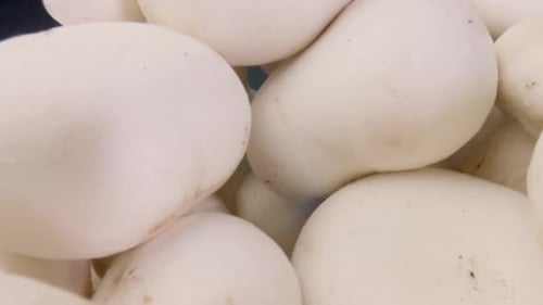 Close Up View of Pile of White Mushrooms