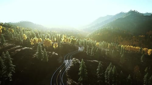 A Scenic Mountain Road Winding Through a Forest During a Captivating Sunset