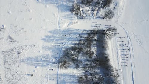 A Sharp Turn Through the Forest on a Ski Track During a Competition
