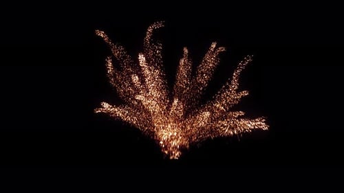 Golden Particle Burst Reveal Animation
