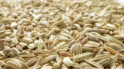 Fennel seeds are small, aromatic seeds from the fennel plant.