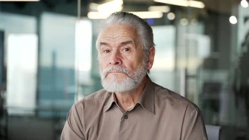 Portrait of a serious senior gray haired bearded businessman sitting at workplace in business office