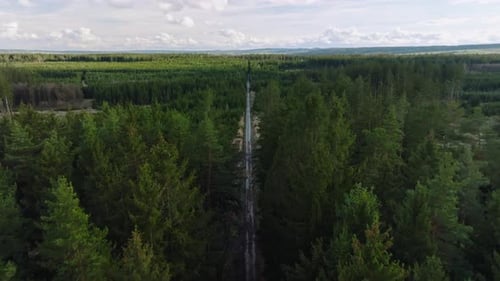 Aerial view of road in the middle of pine forest. jungle street in the morning.