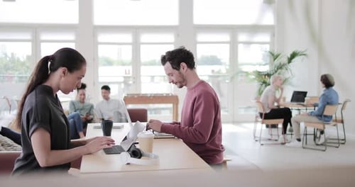 Young Adults Working Together in Modern Office Space