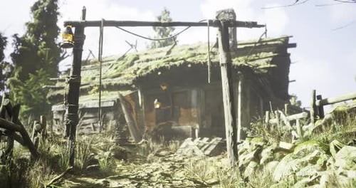 Rustic Cabin in a Forested Area During Daytime with Natural Lighting