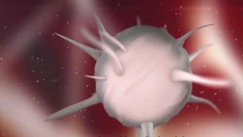Medizinische Animation von weißen Blutkörperchen, die ein Virus angreifen