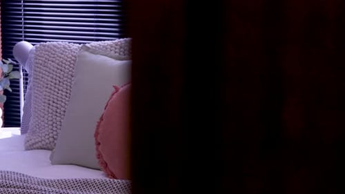 Bedroom Interior Featuring Decorative Pillows on Bed