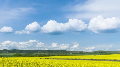 Fields with a Plant in a Valley Against the Background of the Village and the Sky in Bulgaria