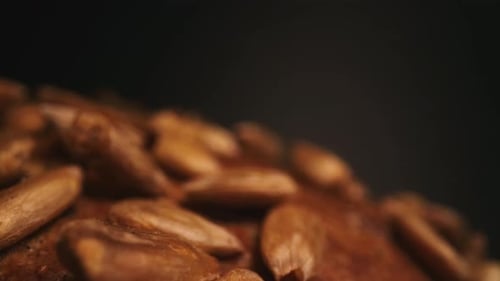 Close up of Brown Bread with Sunflower Seeds