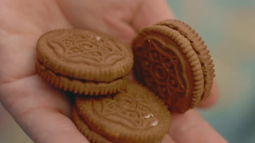 Macro View of a Hand Holding Chocolate Biscuits and a Small Child's Hand Taking One Biscuit