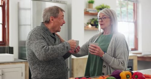 Smiling Senior Couple Talking in Kitchen