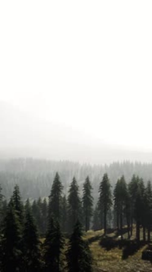 Amazing Mountain Views in Northern Canada in Summer Time