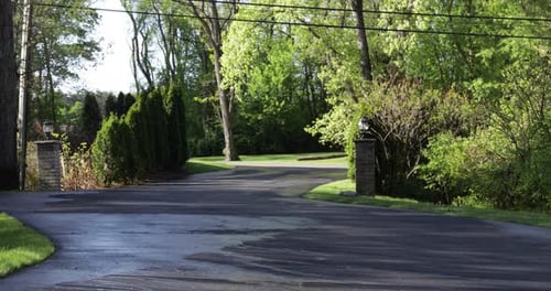 Opossum crossing Driveway