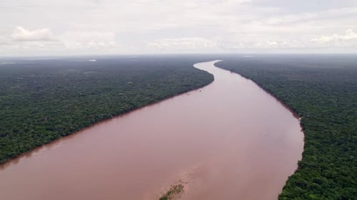 Luftbild: Großer Süßwasserfluss, der durch den dichten Amazonas-Regenwald fließt, Suriname-Fluss