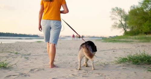 Young Woman Enjoying Evening Walk with Her Pet Dog on the Beach in Summer