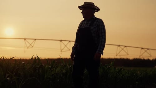 Lone Farmer Standing in Field at Sunrise