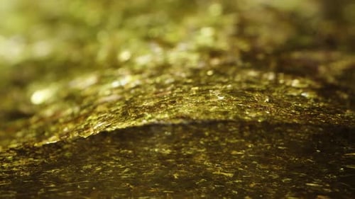 Dried Nori Seaweed Sheets for sushi, a inside between the leaves. Dolly slider extreme close-up.