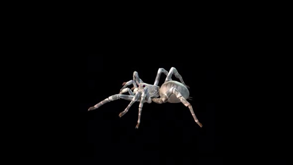 Spider Walk 3, Backgrounds Motion Graphics ft. fear & insect - Envato