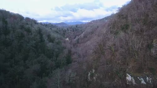 River Flows Through Lush Valley in Early Spring