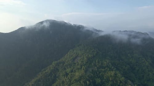 Drone fly ascending over forest and hill with dramatic fog shrouded the peak. Aerial view of greener