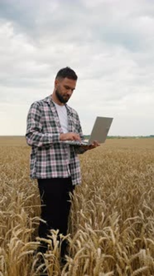 Agronomist with Laptop Analyzing Wheat Crop in a Field