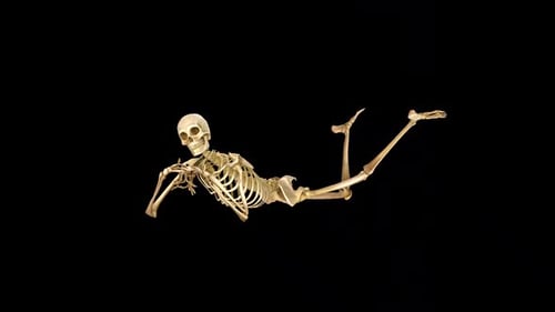 Skeleton Laying