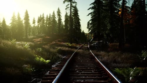 Realistic Train Tracks Through a Sunny Forest