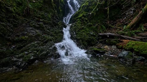 Small Waterfall Calm Running Water in a Moss Forest