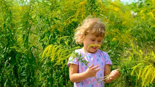 Child in a Field of Ragweed Elective Focus