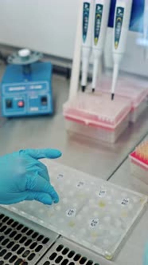 Laboratory Work with Liquids, Vials, and Pipettes