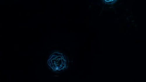 An animated light blue magical flower dances at midnight - an all natural AbstractVideoClip