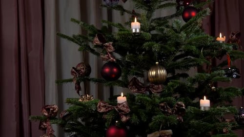 Candles on a christmas tree filmed on a slider