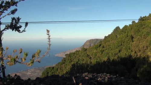 A Forest Of Pine Trees Sway On A Steep Cliff Side Overlooking A Distant Island