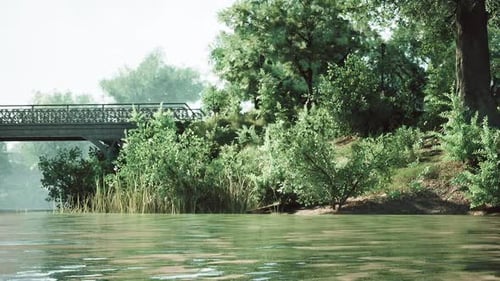 Tranquil Riverside View with Lush Greenery and a Charming Bridge at Noon