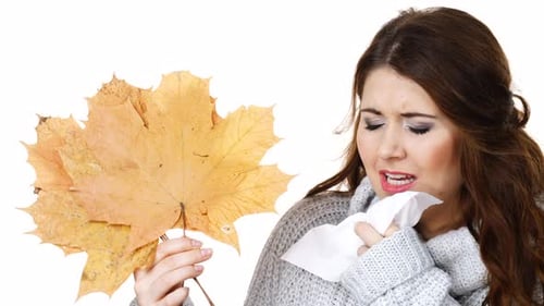 Sick Woman Sneezing In Tissue Holds Autumn Leaf